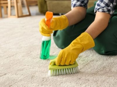 How to Maintain Your Carpet in a Busy Household