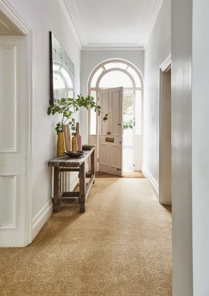 What Are the Benefits of Installing Carpet in Your Home’s Hallways?