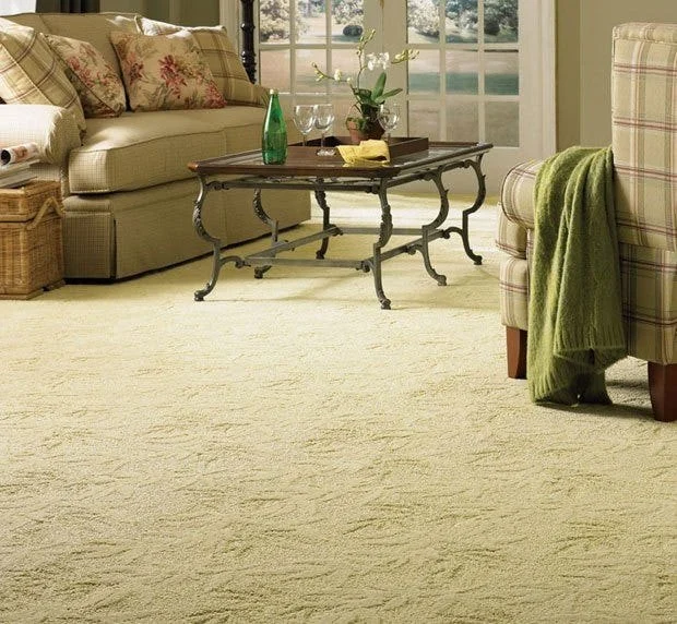 How to Choose Carpet for Homes with Frequent Houseguests