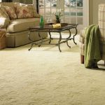 How to Choose Carpet for Homes with Frequent Houseguests