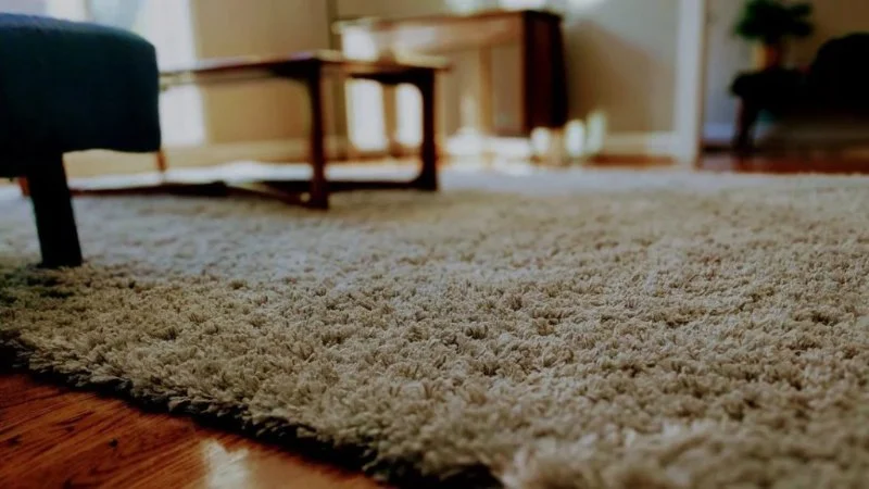 How to Choose the Best Carpet for Your Home’s Unique Features