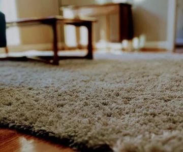 How to Choose the Best Carpet for Your Home’s Unique Features