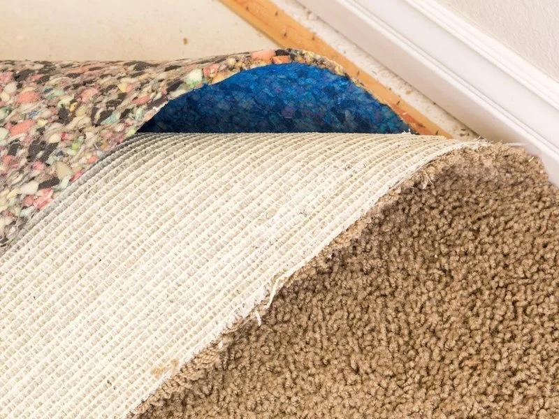 Best Carpet Padding Options for Comfort and Durability | CarpetHub