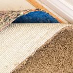 Best Carpet Padding Options for Comfort and Durability | CarpetHub