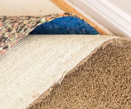 Best Carpet Padding Options for Comfort and Durability | CarpetHub