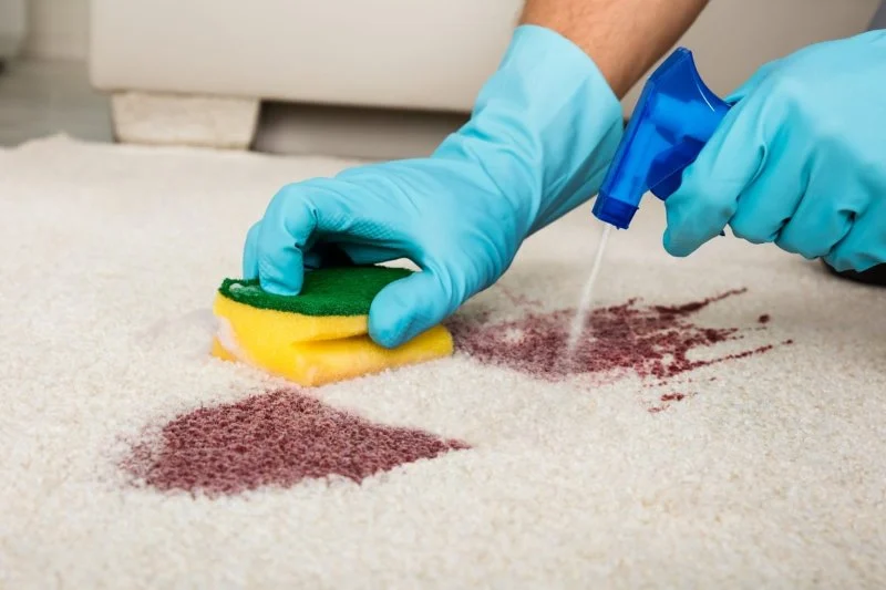 How to Remove Tough Carpet Stains Quickly and Easily