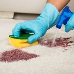 How to Remove Tough Carpet Stains Quickly and Easily