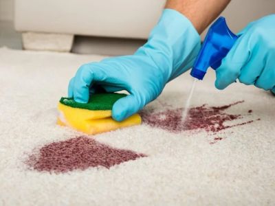 How to Remove Tough Carpet Stains Quickly and Easily