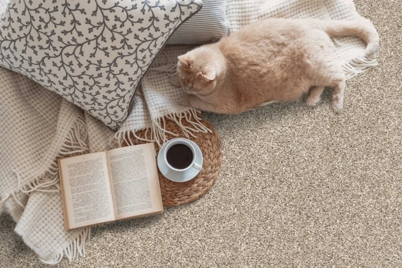 Carpet Buying Tips for Homeowners with Allergies