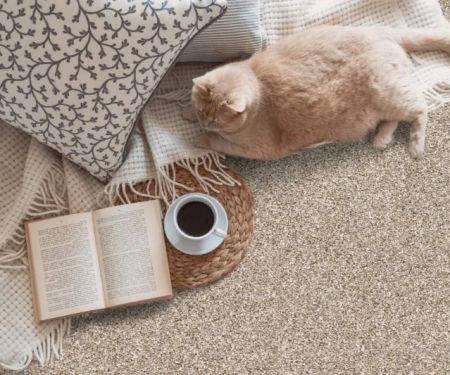 Carpet Buying Tips for Homeowners with Allergies