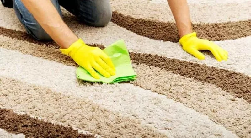 How to Maintain Carpet in Homes with Small Children: Practical Tips