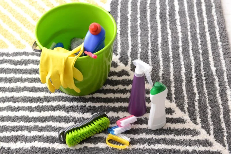 Carpet Care Essentials Every Homeowner Needs