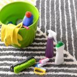 Carpet Care Essentials Every Homeowner Needs