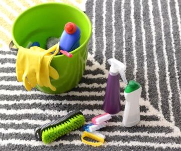 Carpet Care Essentials Every Homeowner Needs