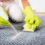 How to Clean Your Carpet After a Party: A Step-by-Step Guide