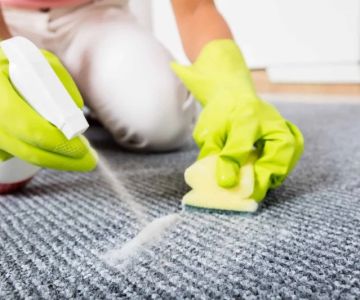 How to Clean Your Carpet After a Party: A Step-by-Step Guide
