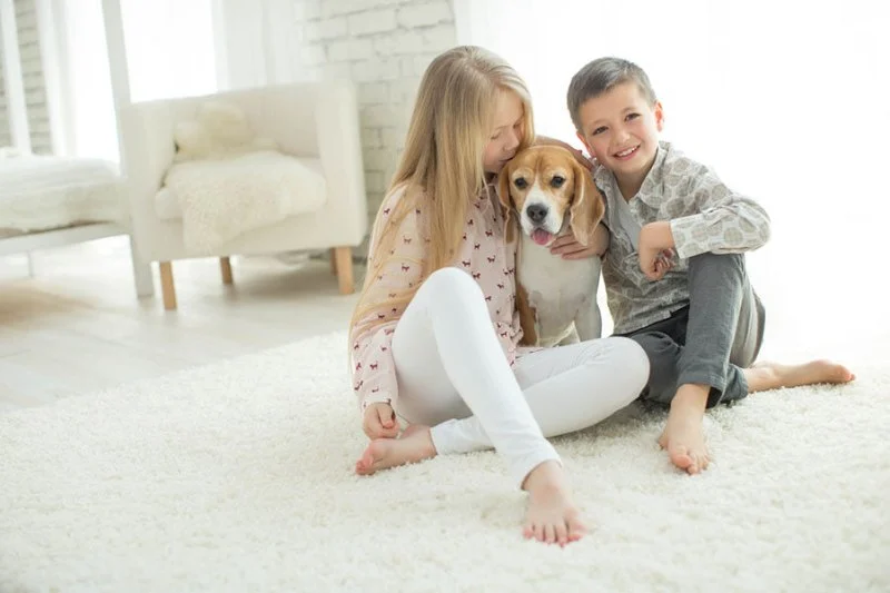 The Best Carpet for Homes with Pets and Kids: Durability and Comfort