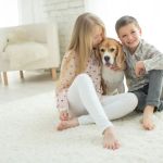 The Best Carpet for Homes with Pets and Kids: Durability and Comfort