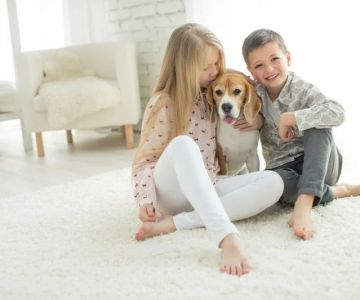 The Best Carpet for Homes with Pets and Kids: Durability and Comfort