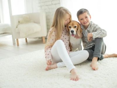The Best Carpet for Homes with Pets and Kids: Durability and Comfort