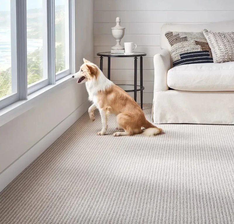 Choosing Pet‑Friendly Carpet Colors That Hide Fur and Dirt