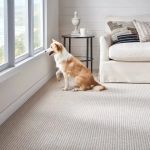 Choosing Pet‑Friendly Carpet Colors That Hide Fur and Dirt