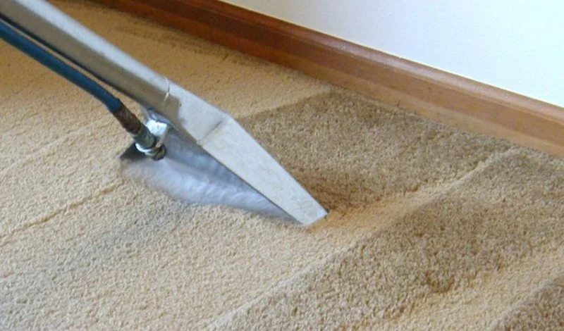How to Fix and Prevent Carpet Buckling
