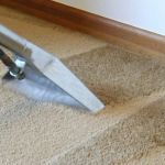 How to Fix and Prevent Carpet Buckling