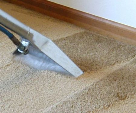 How to Fix and Prevent Carpet Buckling
