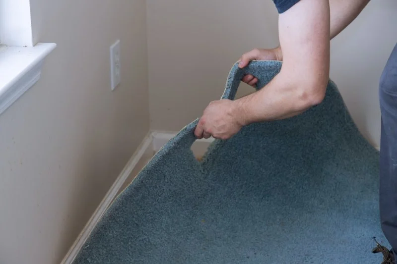 5 Signs Your Carpet Needs Replacement and How to Handle It
