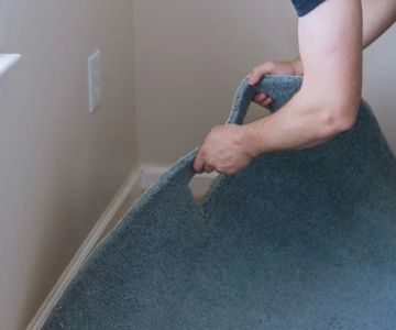 5 Signs Your Carpet Needs Replacement and How to Handle It