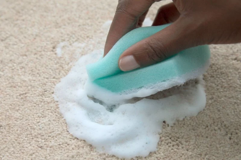 How to Remove Paint from Carpet Without Ruining It | Expert Carpet Cleaning Tips