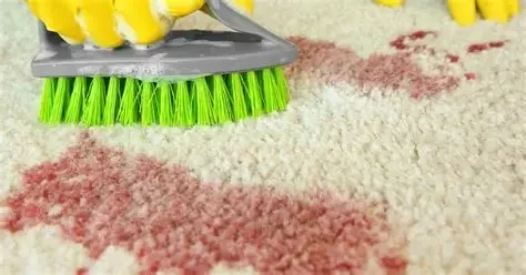 How to Remove Common Carpet Stains Without Professional Help