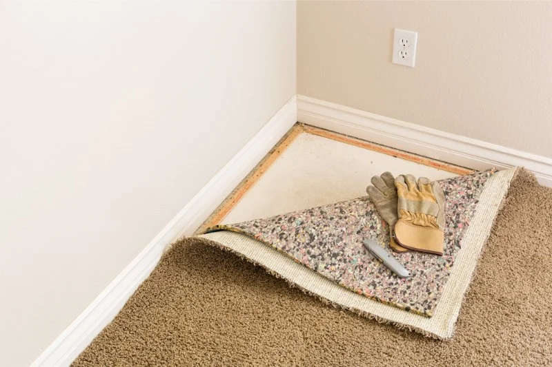 How to Tackle Common Carpet Problems: Fading, Wrinkles, and Wear in 2026