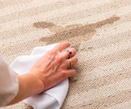 How to Remove Paint from Carpet Without Ruining It: Proven Methods