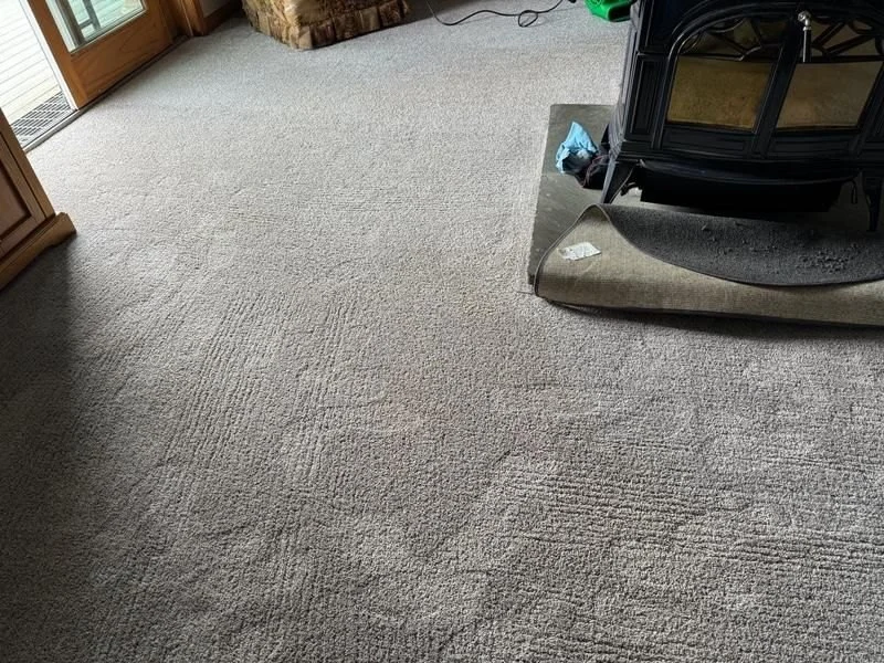 The Top Carpet Choices for Allergy‑Free Living