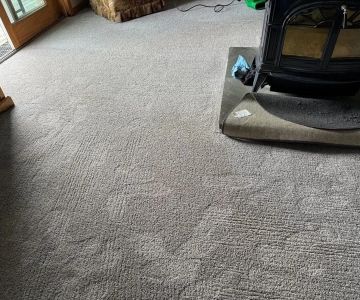 The Top Carpet Choices for Allergy‑Free Living