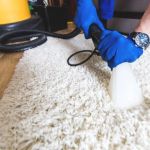 Carpet and Allergy Solutions for Homeowners: Cleaner Indoor Air Guide