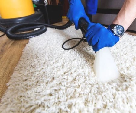 Carpet and Allergy Solutions for Homeowners: Cleaner Indoor Air Guide