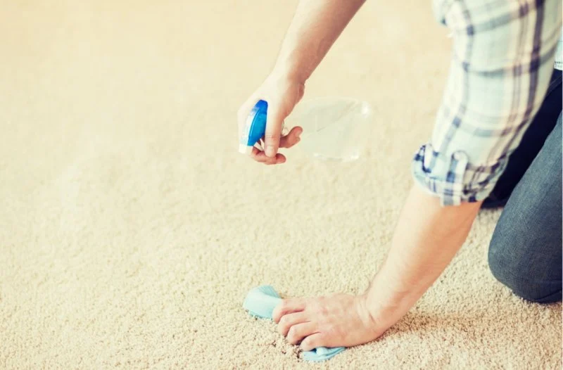 How to Care for Your Carpet in Winter | CarpetHub