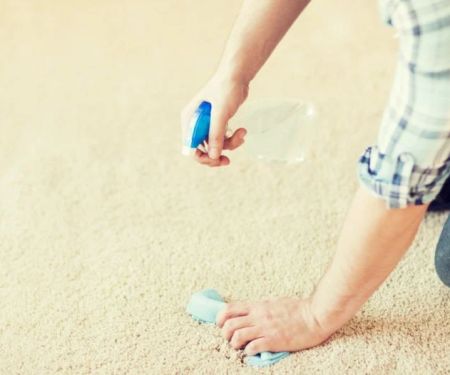 How to Care for Your Carpet in Winter | CarpetHub