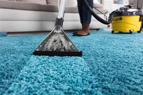 Carpet Care for Homes with High Humidity: Practical Guide for Lasting Fresh Floors