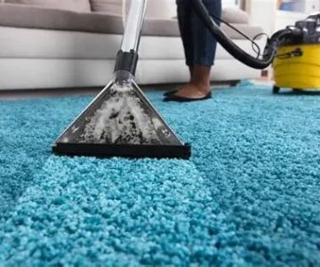 Carpet Care for Homes with High Humidity: Practical Guide for Lasting Fresh Floors