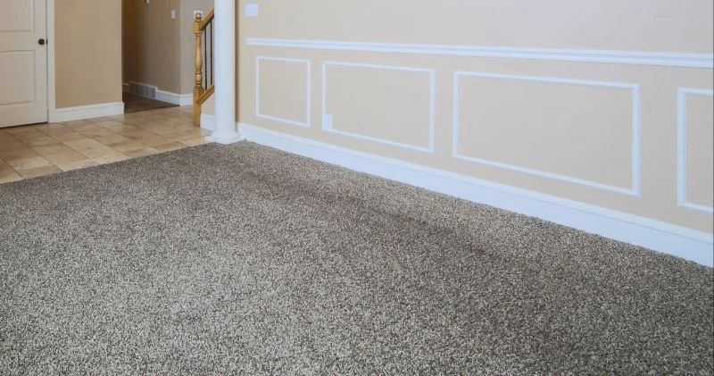 How to Match Your Carpet with Your Wall Color