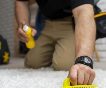 The Top Carpet Cleaning Myths You Need to Stop Believing Guide