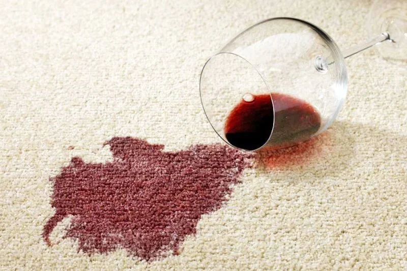 How to Get Pet Stains Out of Carpet Without Ruining It