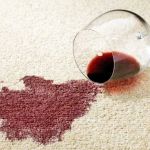 How to Get Pet Stains Out of Carpet Without Ruining It