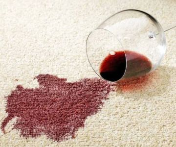 How to Get Pet Stains Out of Carpet Without Ruining It