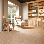 Best Carpet Ideas for Every Type of Home