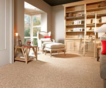 Best Carpet Ideas for Every Type of Home